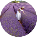 Calleen Wilder profile picture