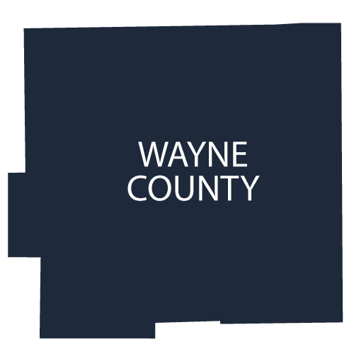 WayneCountyV2.webp
